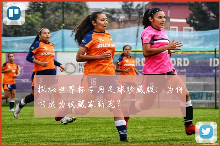 探秘世界杯专用足球珍藏版：为何它成为收藏家新宠？