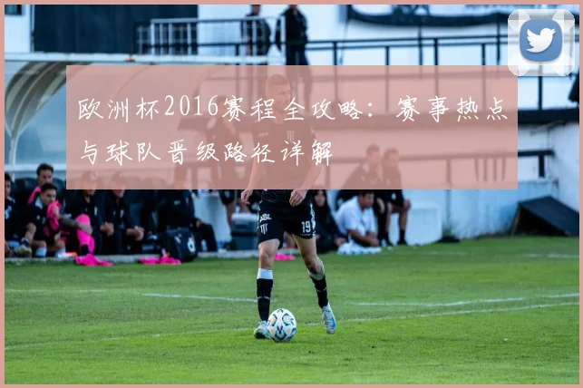 欧洲杯2016赛程全攻略：赛事热点与球队晋级路径详解